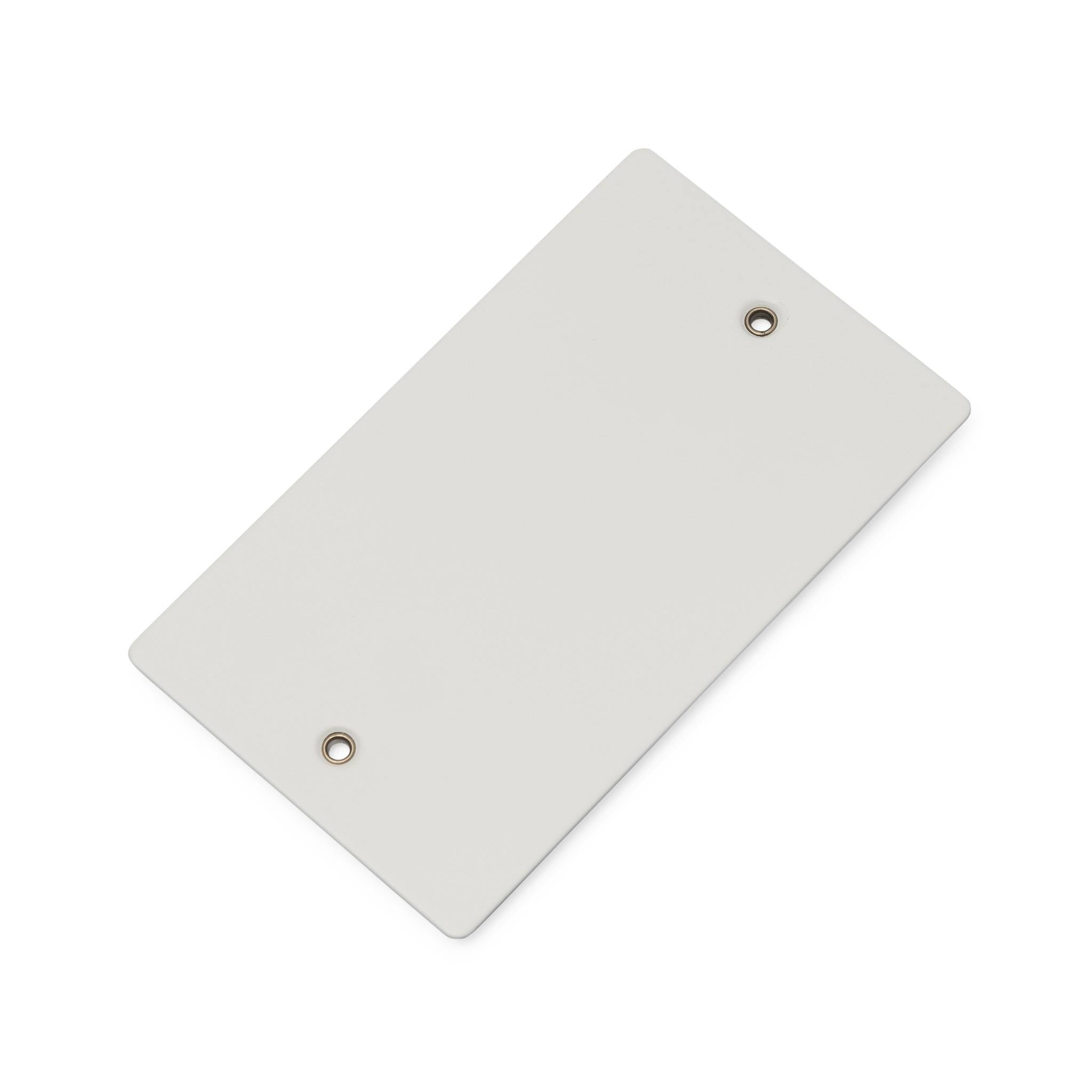 Buster + Punch 2G Blank Wall Plate