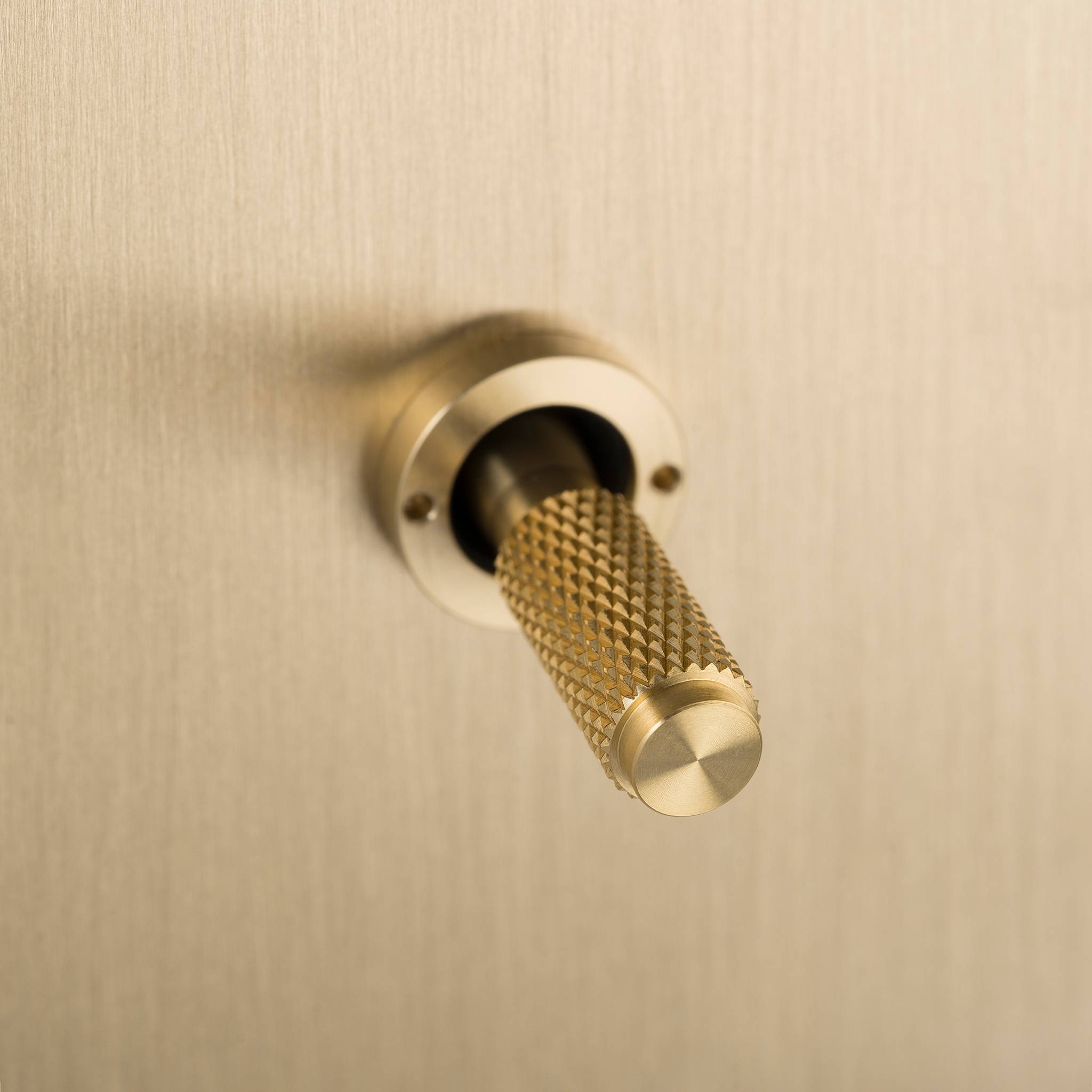 Buster + Punch 3G 2-Way Toggle Switch - Brass Back Plate & Brass Cross Knurl