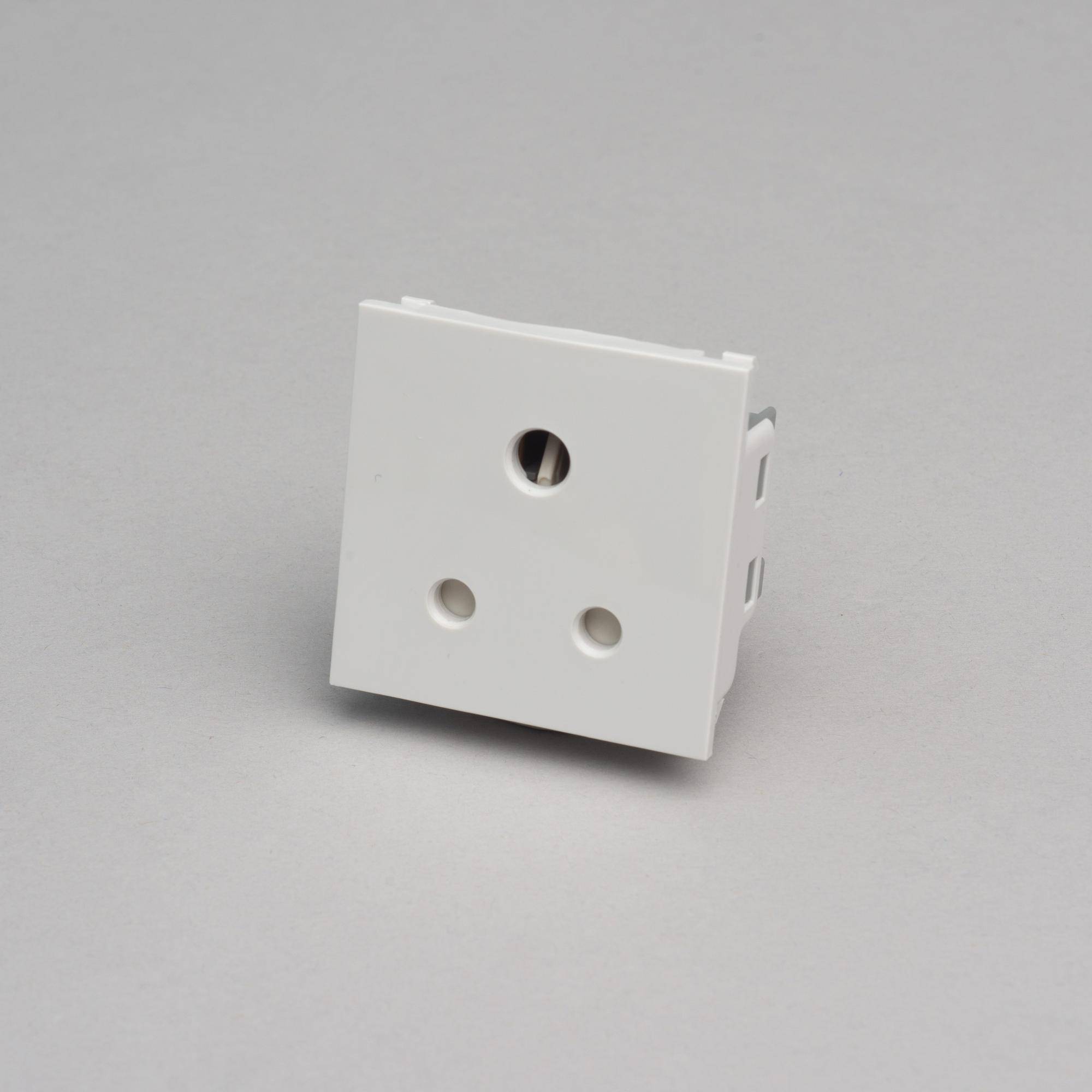 Buster + Punch 5A Socket Module 50mm