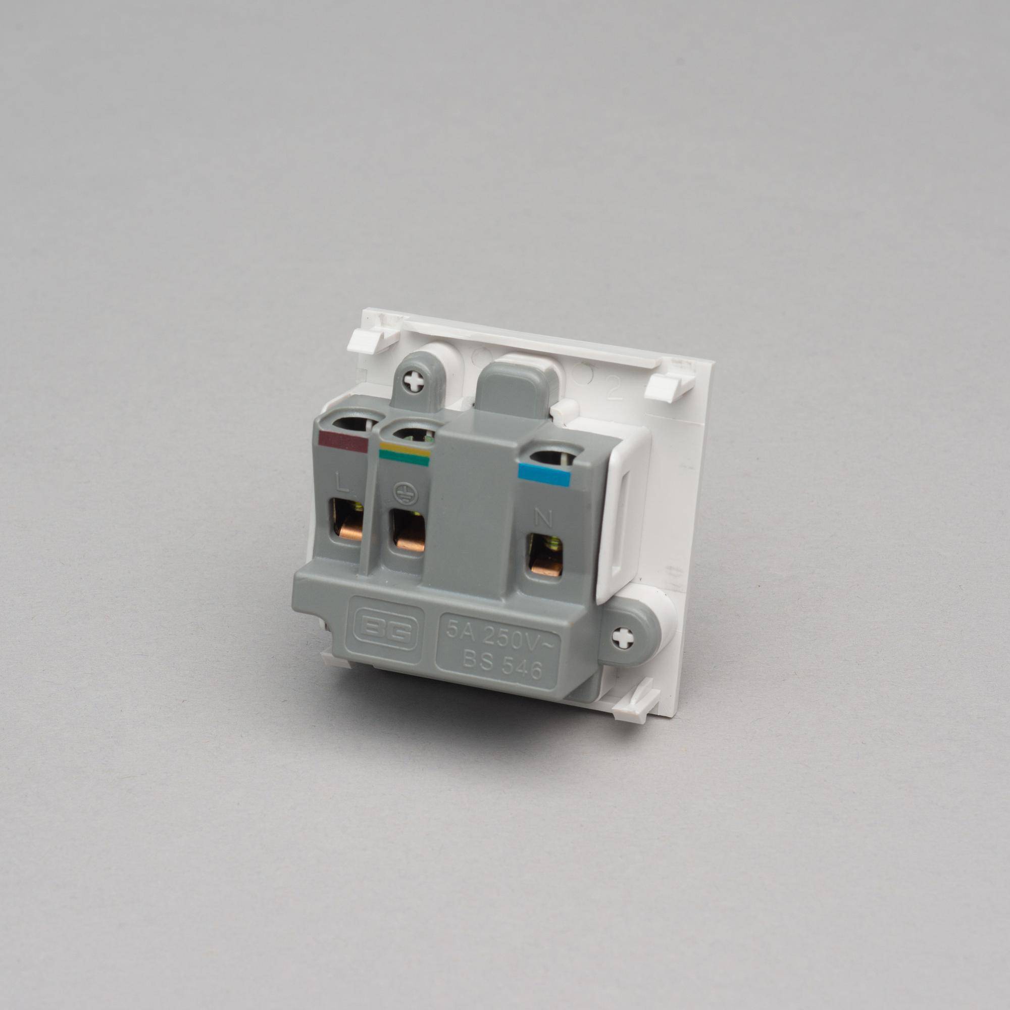Buster + Punch 5A Socket Module 50mm