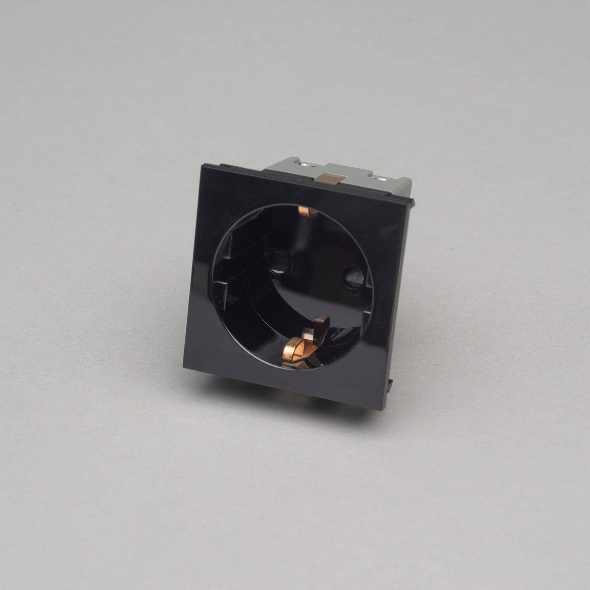 Buster + Punch Schuko Socket Module Type F 50mm