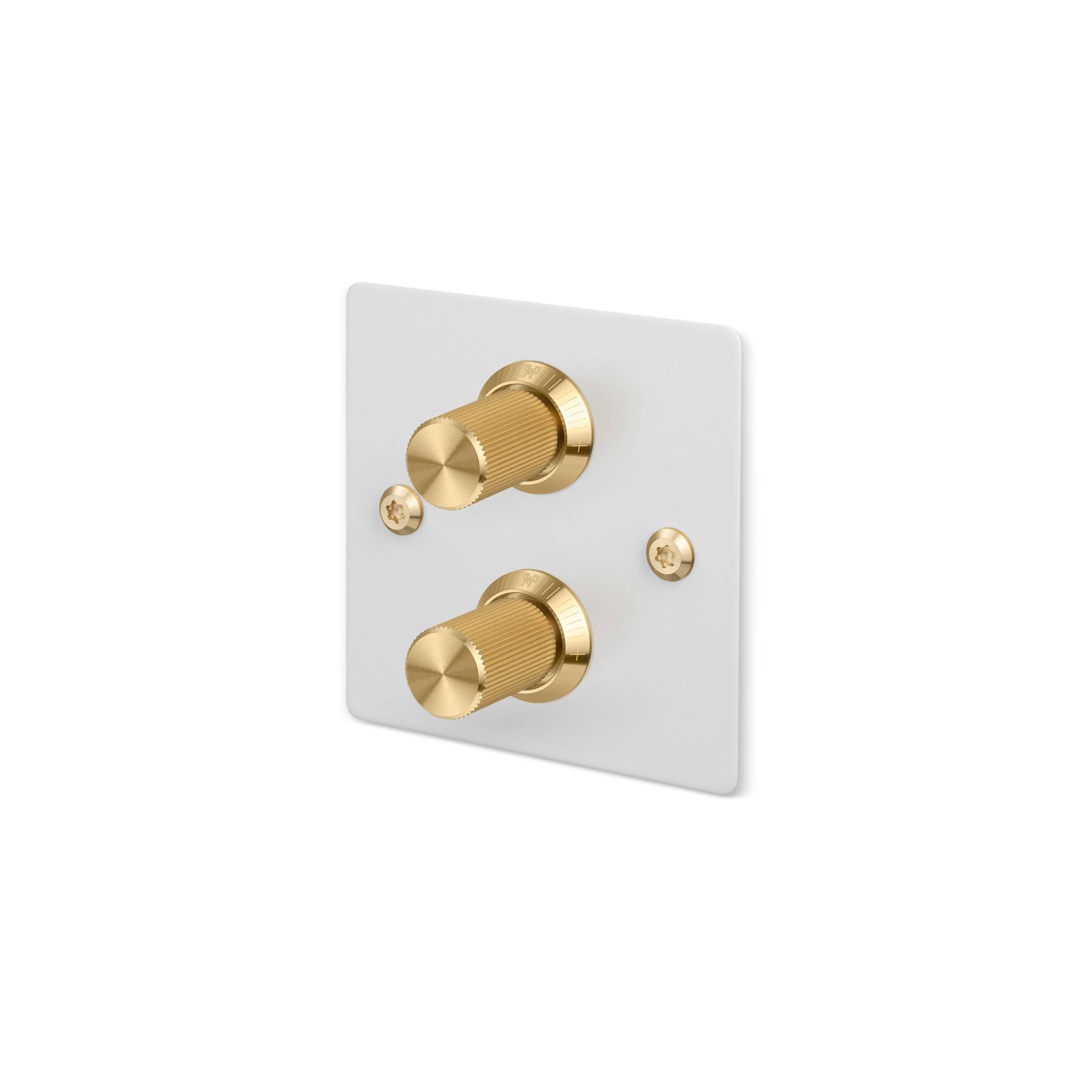 Buster + Punch 2G dimmer switch, white plate with brass linear knurl knob, isolated cutout