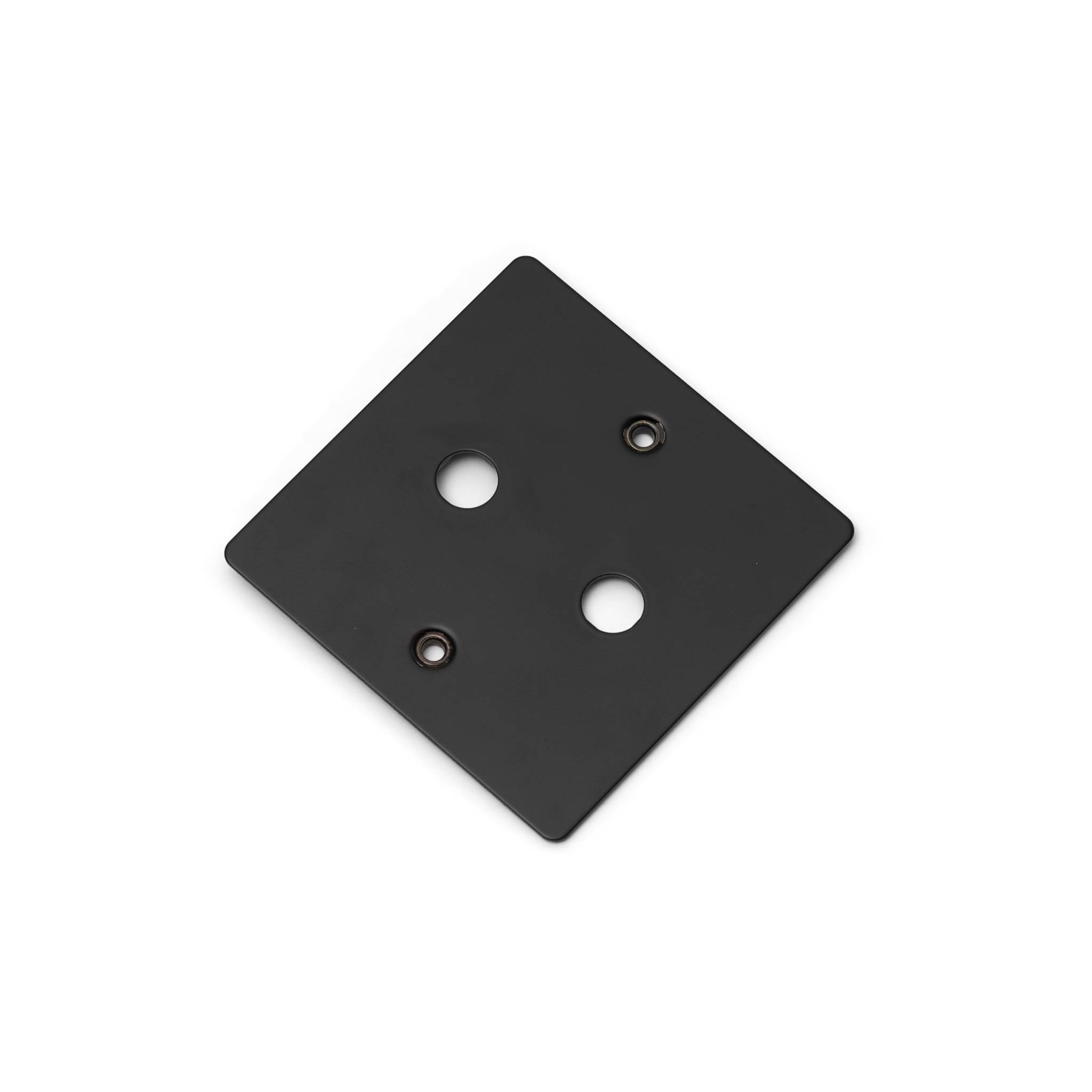 Buster + Punch 1G Wall Plate for 2 Dimmers