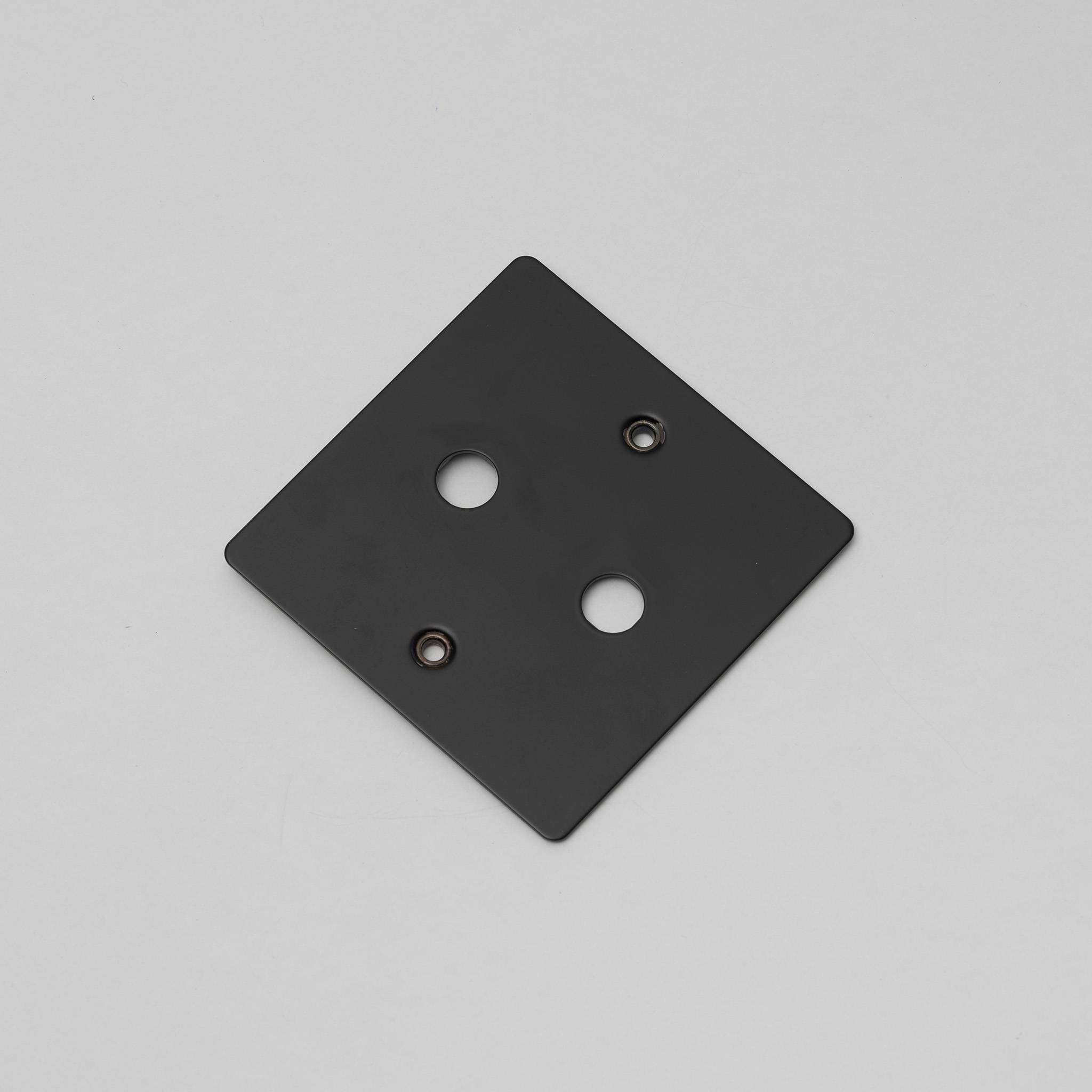 Buster + Punch 1G Wall Plate for 2 Dimmers