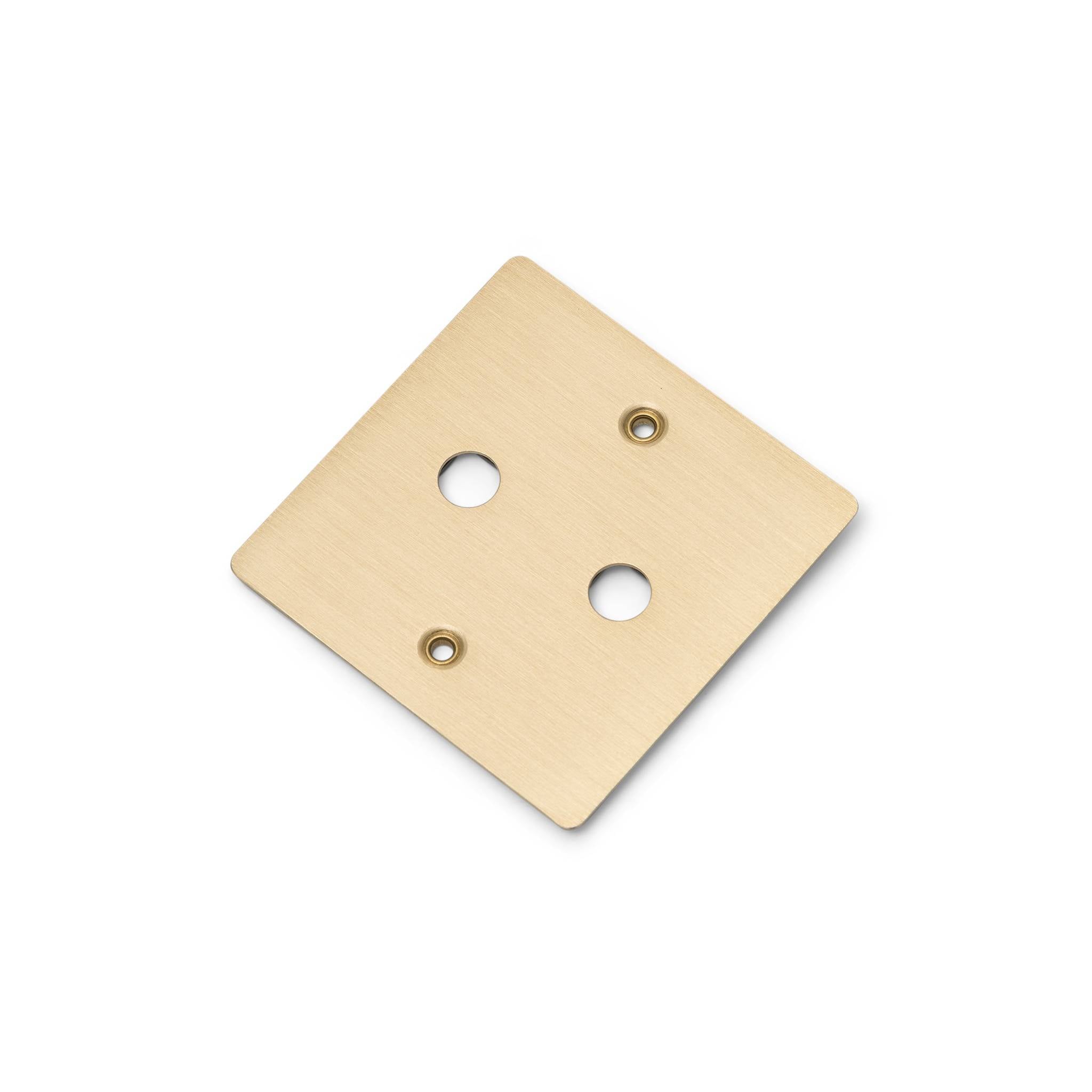 Buster + Punch 1G Wall Plate for 2 Dimmers