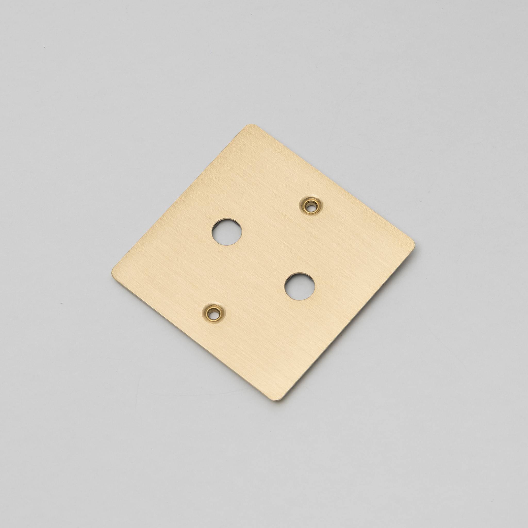 Buster + Punch 1G Wall Plate for 2 Dimmers
