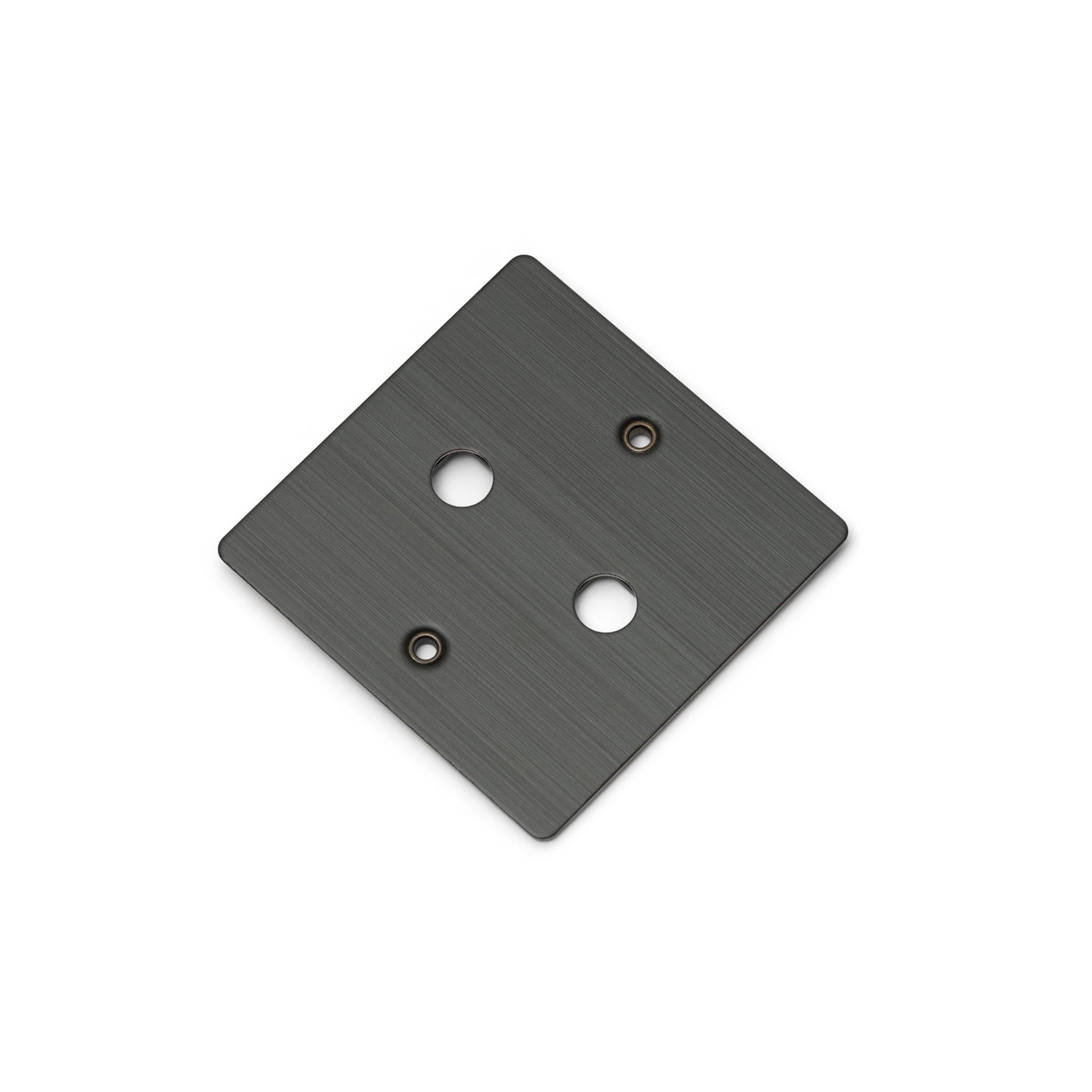 Buster + Punch 1G Wall Plate for 2 Dimmers