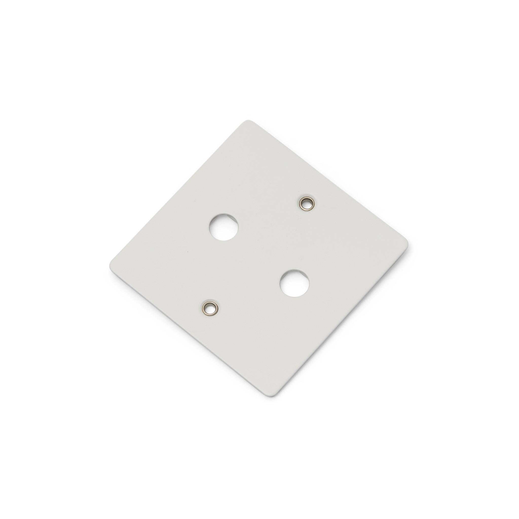 Buster + Punch 1G Wall Plate for 2 Dimmers