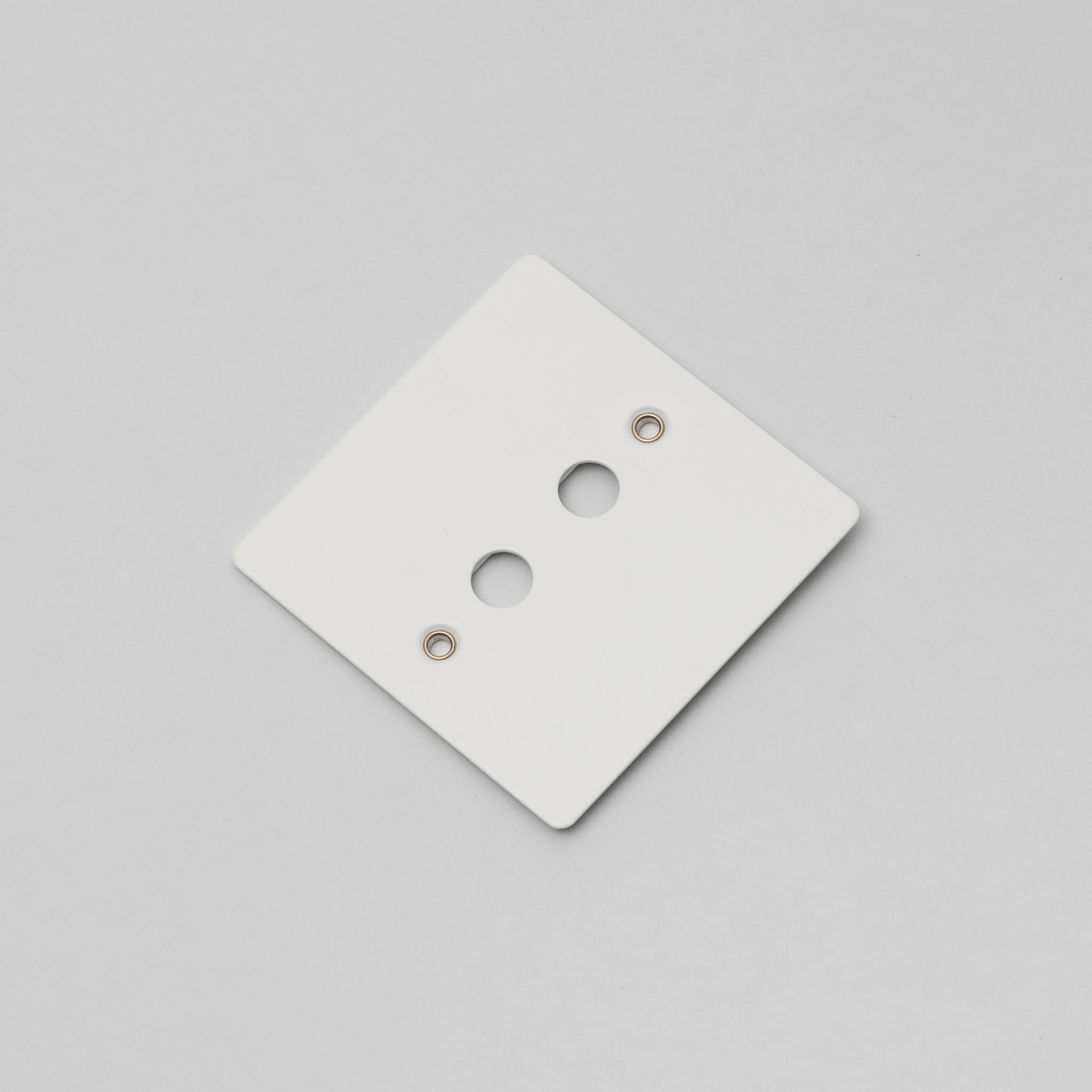 Buster + Punch 1G Wall Plate for 2 Toggles