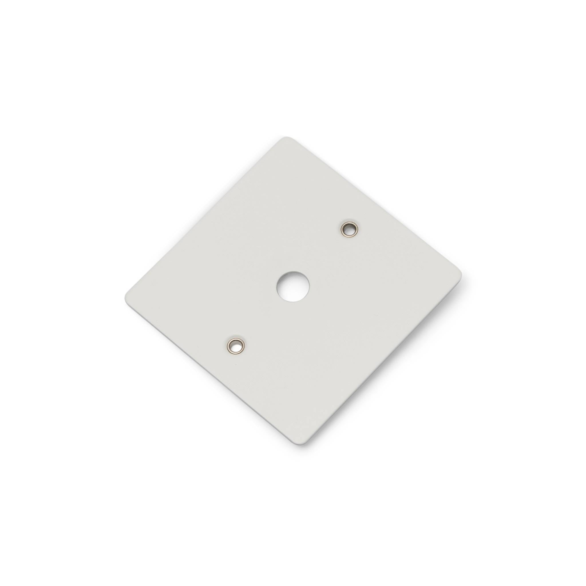 Buster + Punch 1G Wall Plate for 1 Dimmer or Toggle
