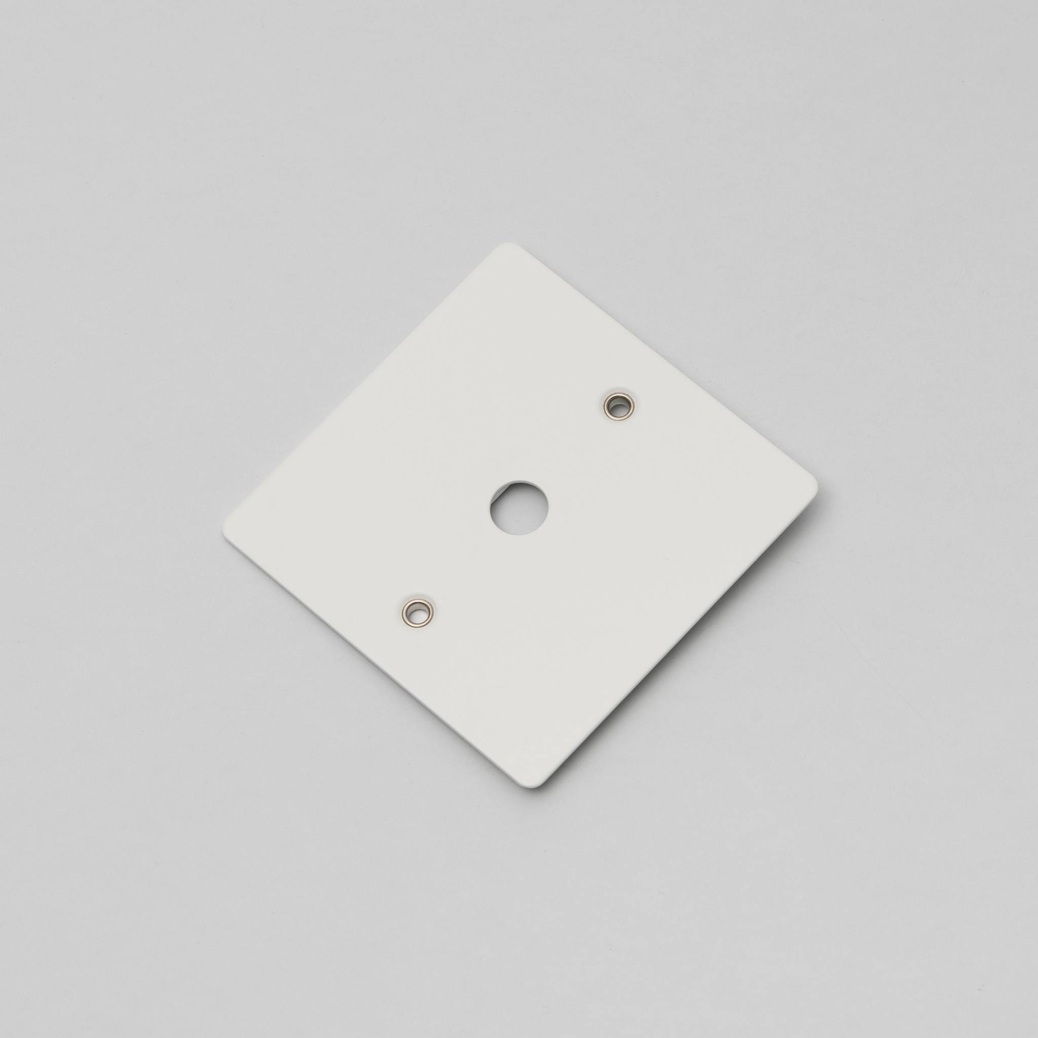 Buster + Punch 1G Wall Plate for 1 Dimmer or Toggle