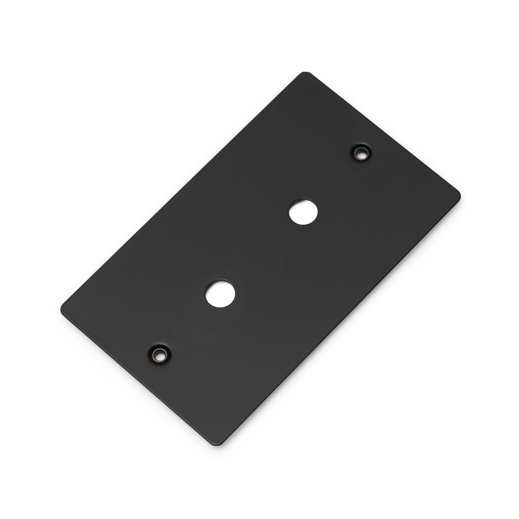 Buster + Punch 2G Wall Plate for 2 Dimmers or Toggles