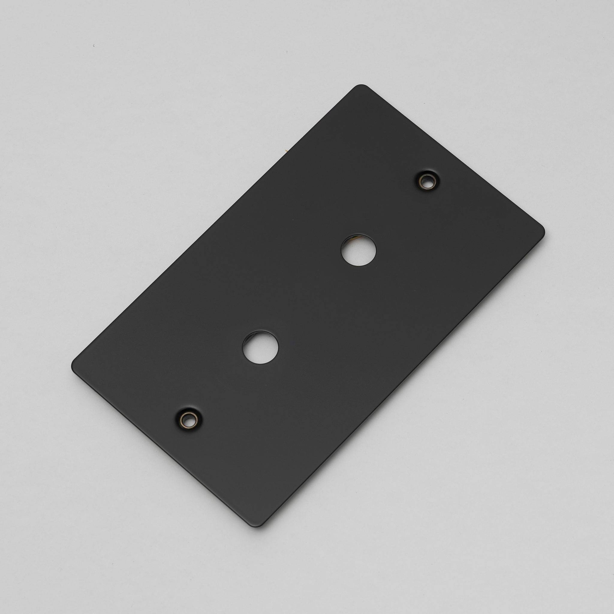 Buster + Punch 2G Wall Plate for 2 Dimmers or Toggles