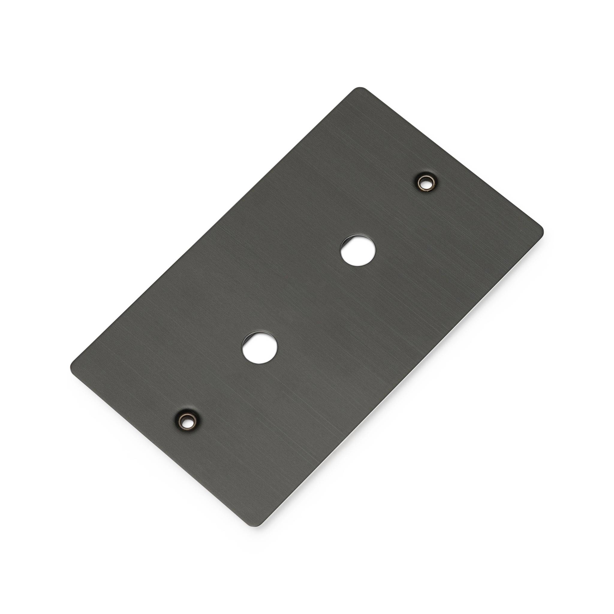 Buster + Punch 2G Wall Plate for 2 Dimmers or Toggles