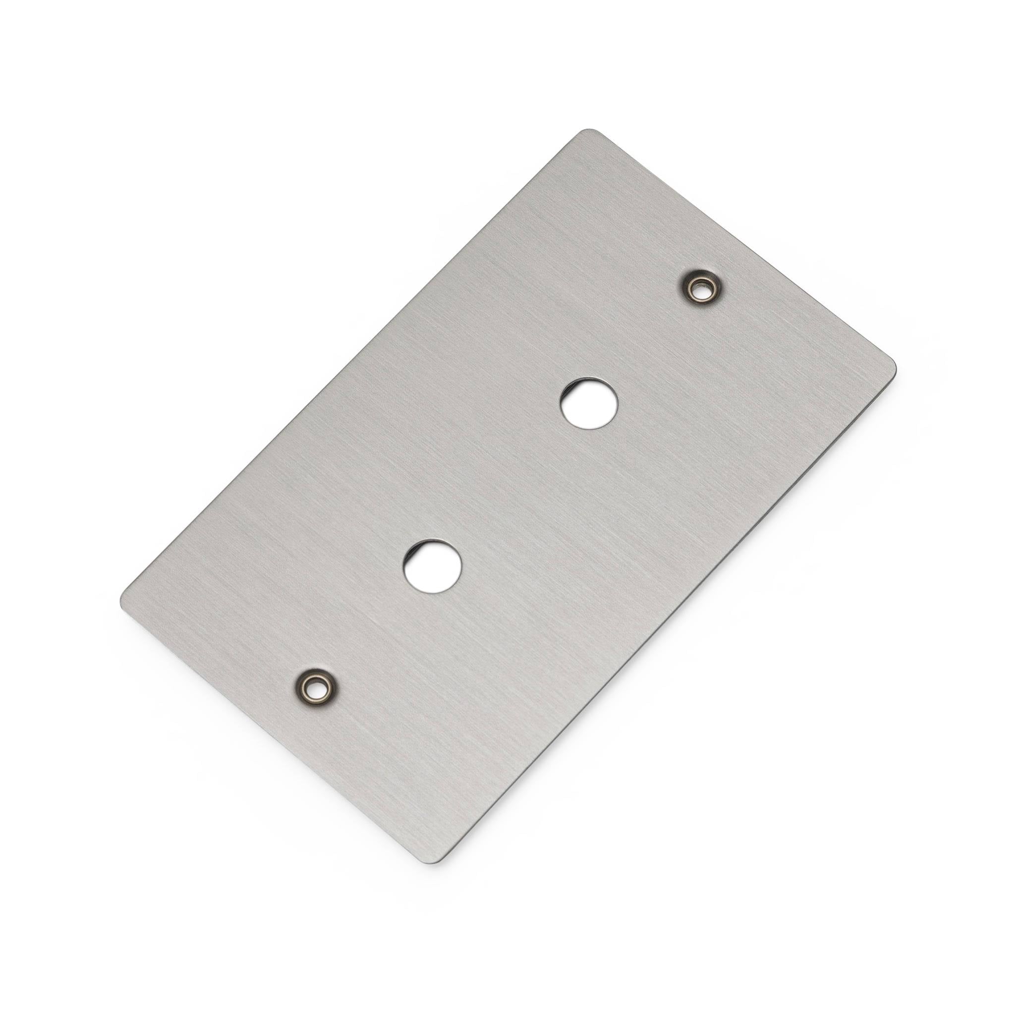 Buster + Punch 2G Wall Plate for 2 Dimmers or Toggles