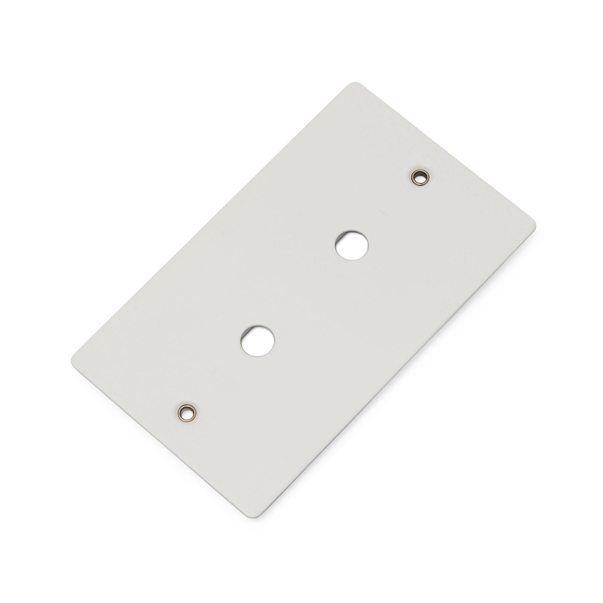 Buster + Punch 2G Wall Plate for 2 Dimmers or Toggles