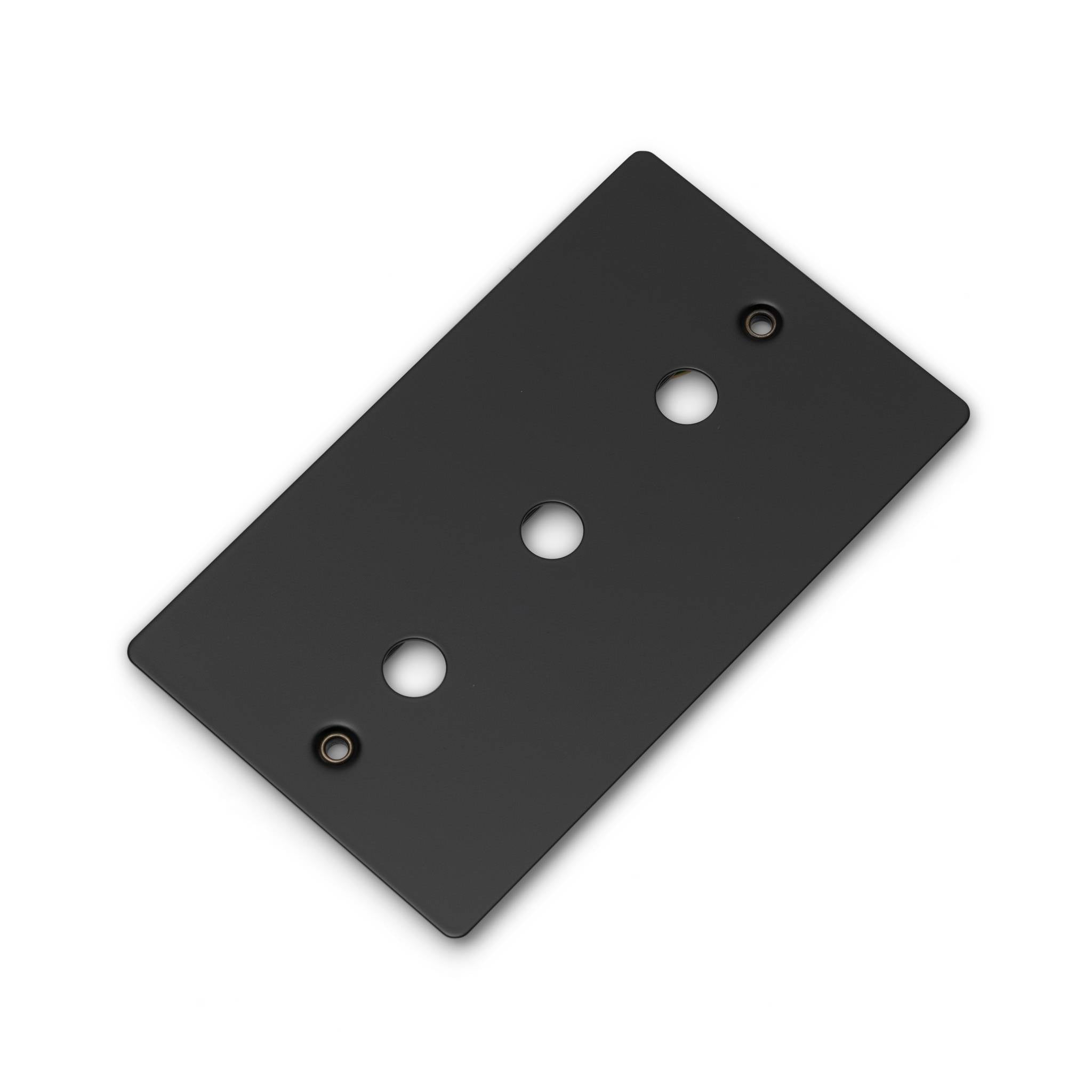 Buster + Punch 2G Wall Plate for 3 Dimmers or Toggles