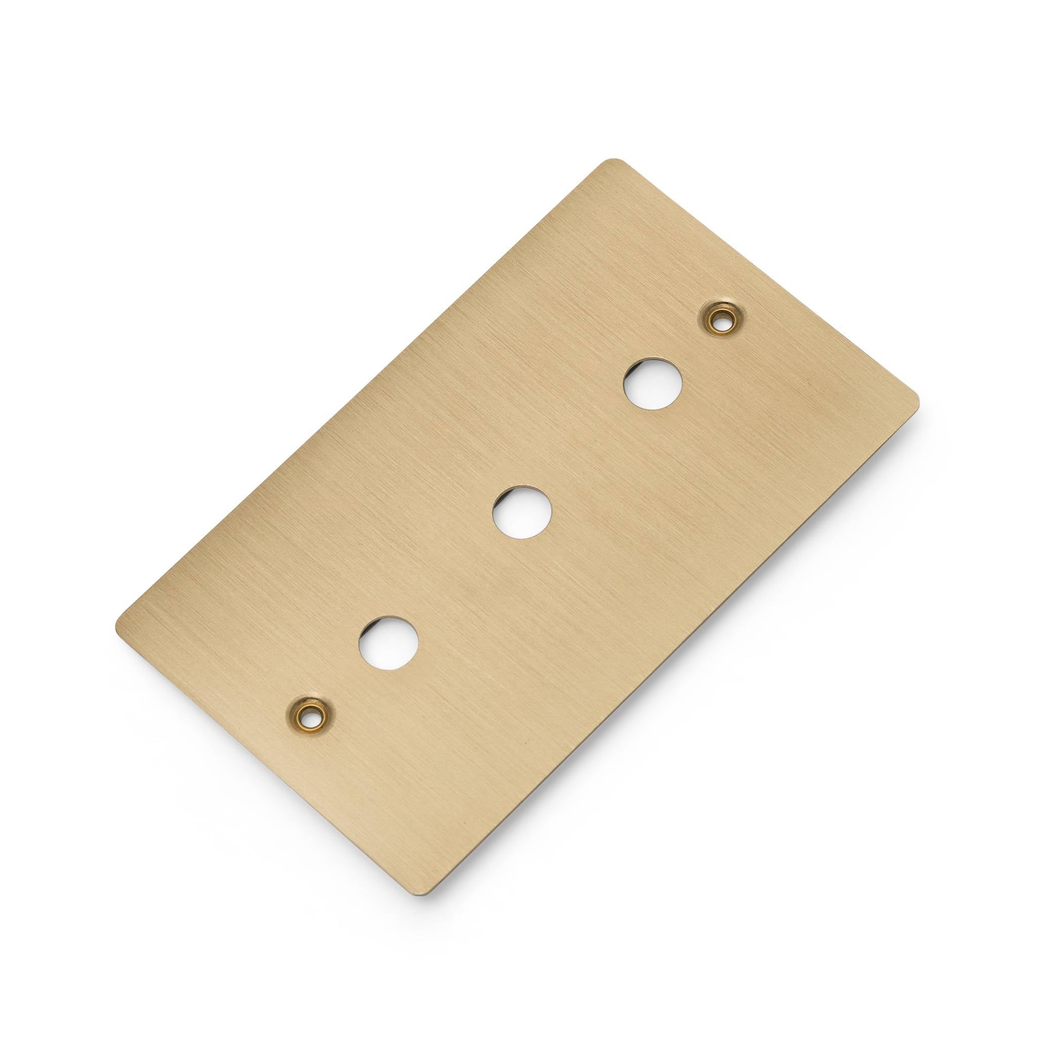 Buster + Punch 2G Wall Plate for 3 Dimmers or Toggles