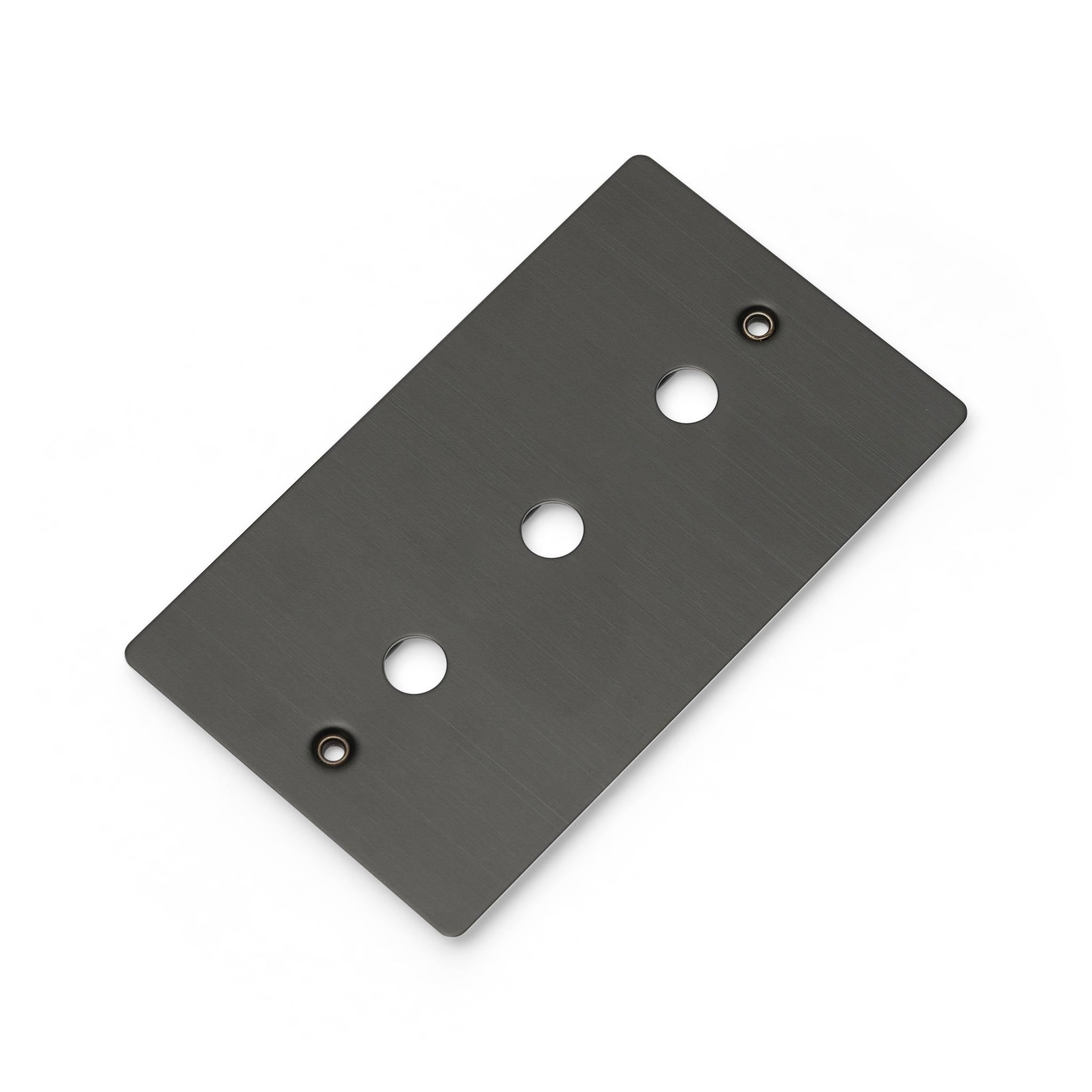 Buster + Punch 2G Wall Plate for 3 Dimmers or Toggles