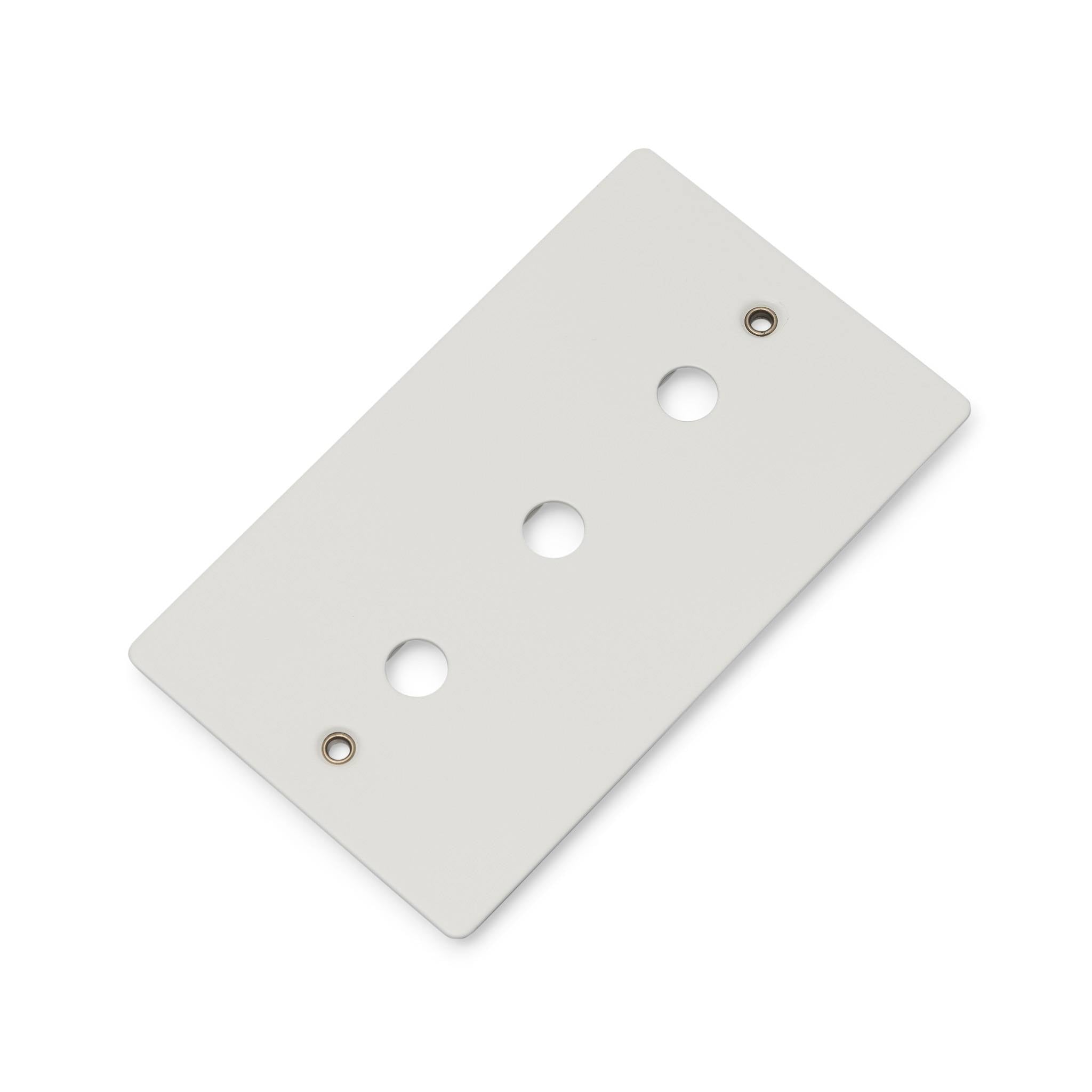 Buster + Punch 2G Wall Plate for 3 Dimmers or Toggles