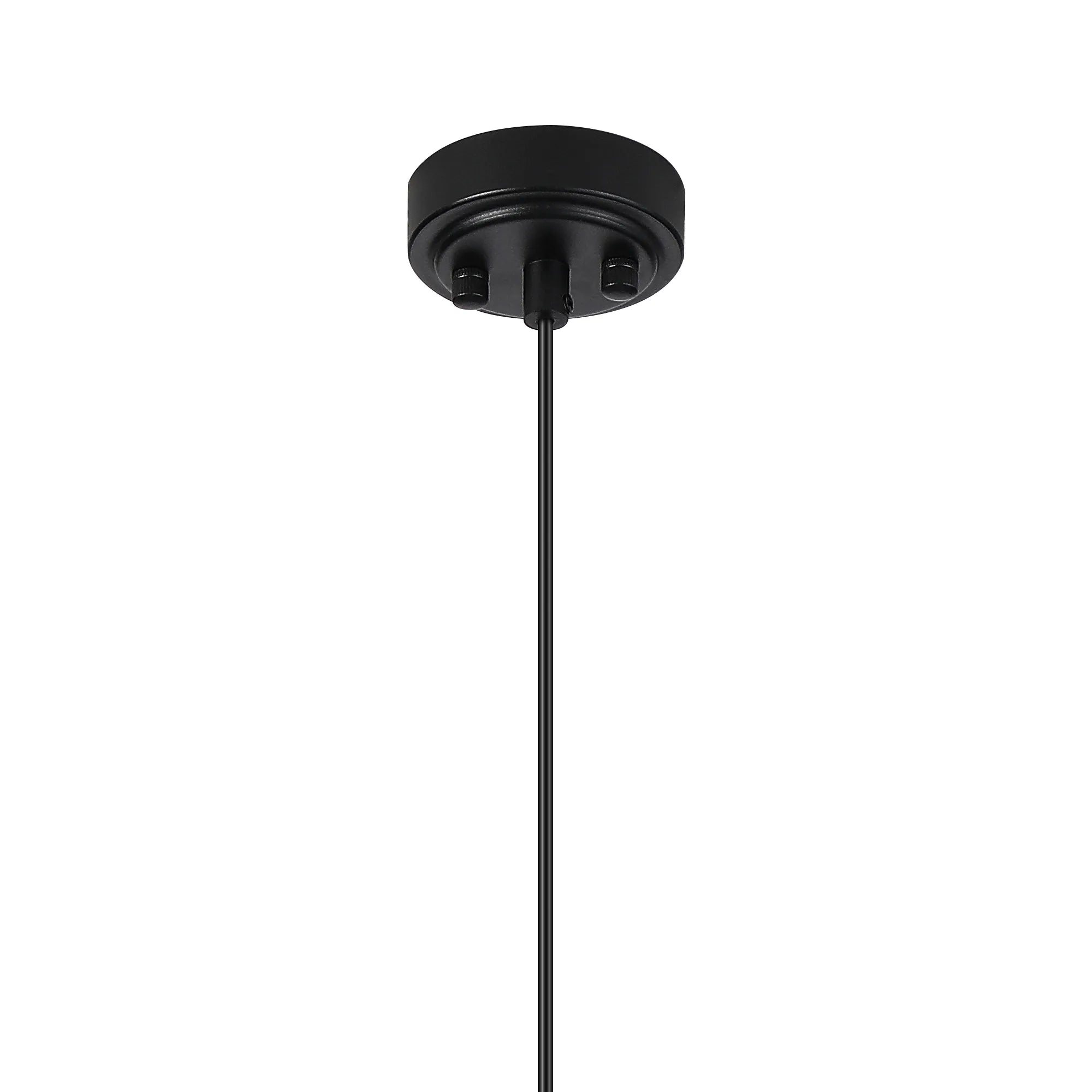 Dene Pendant 1 Light - IP44 Satin Black & Opal Round Segment Glass