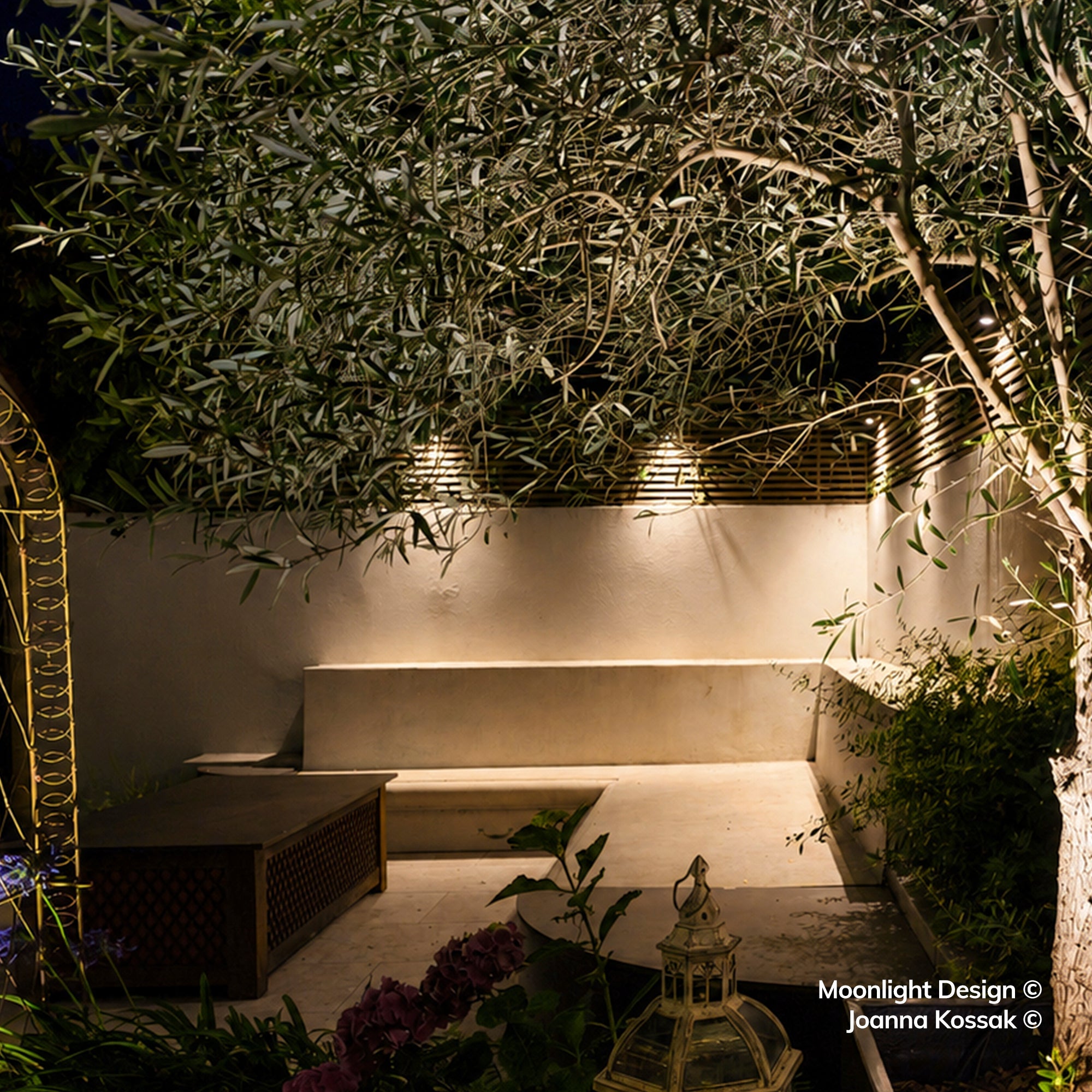 Moonlight Design lifestyle photograph of Hunza wall down lights set into a timber screen, lighting an olive tree canopy above a stone courtyard bench at night.