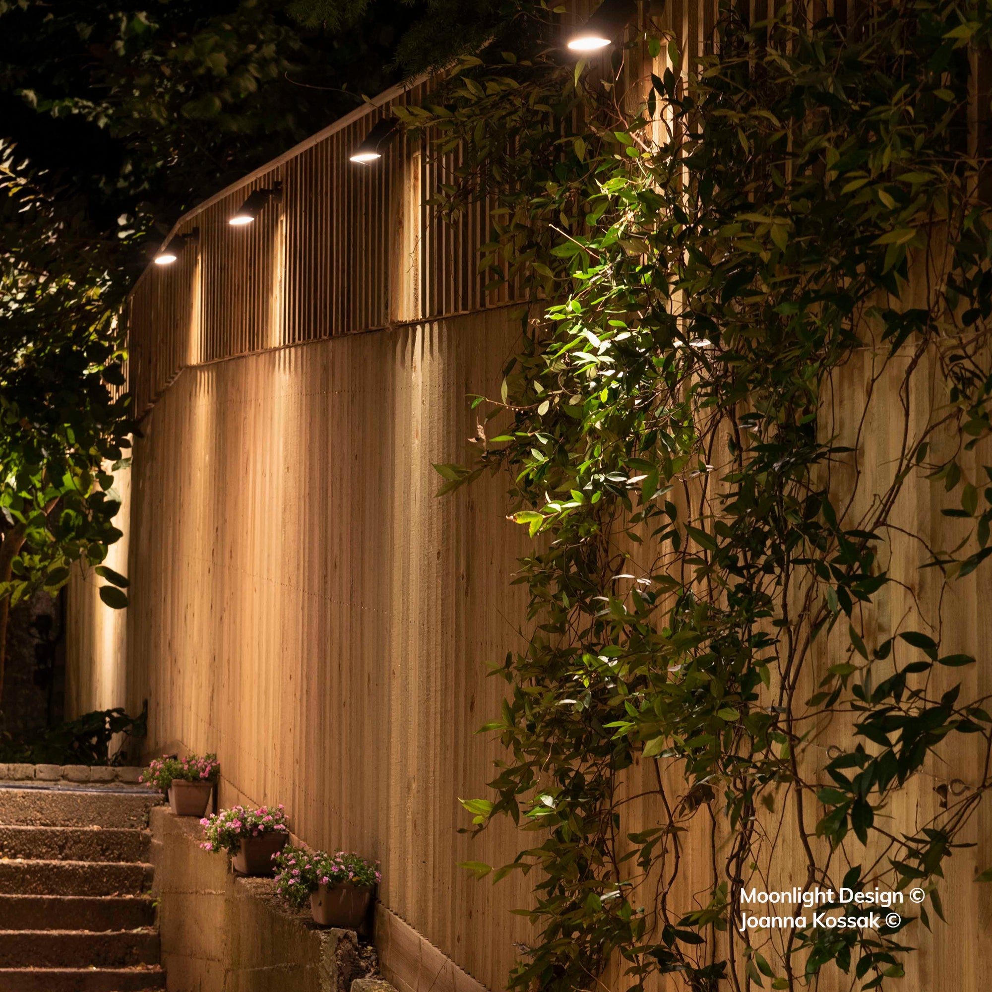 Moonlight Design lifestyle photograph of three Hunza wall spots lighting down a slatted timber garden screen, above steps lined with potted flowers at night.