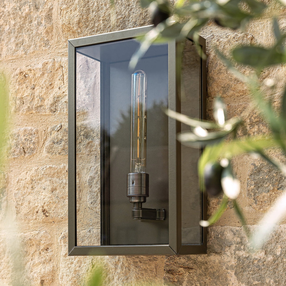 Close up of a Leverint Chelsea wall lantern on a stone wall, with a tube filament bulb behind the glass and olive leaves in the foreground