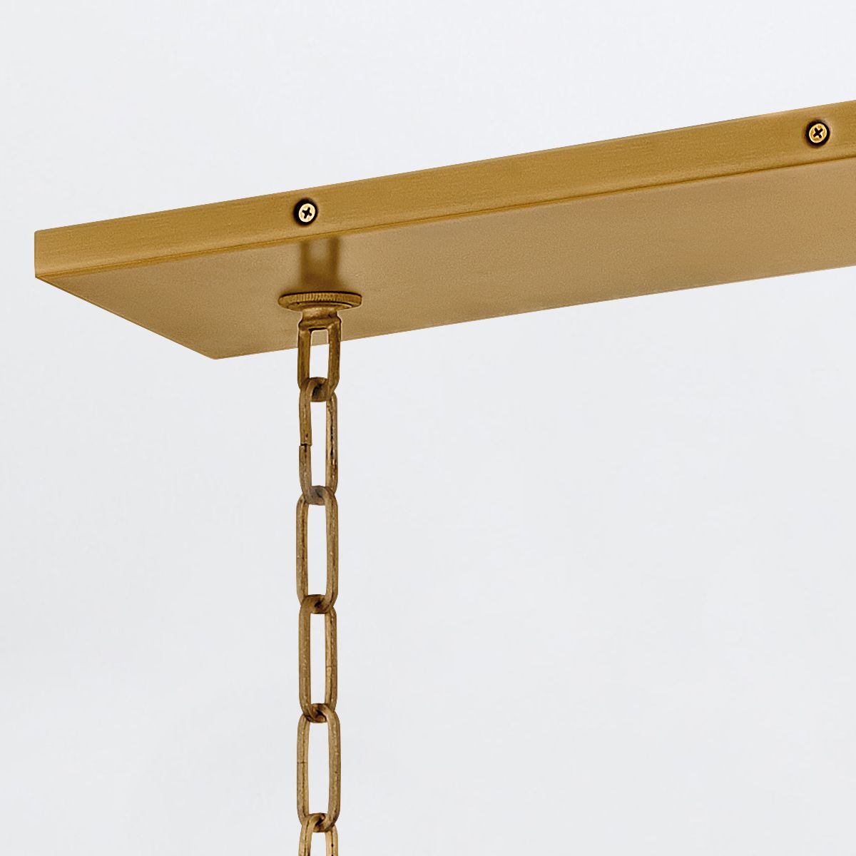 Quintiesse Flora 10 Light Linear Chandelier - Burnished Gold