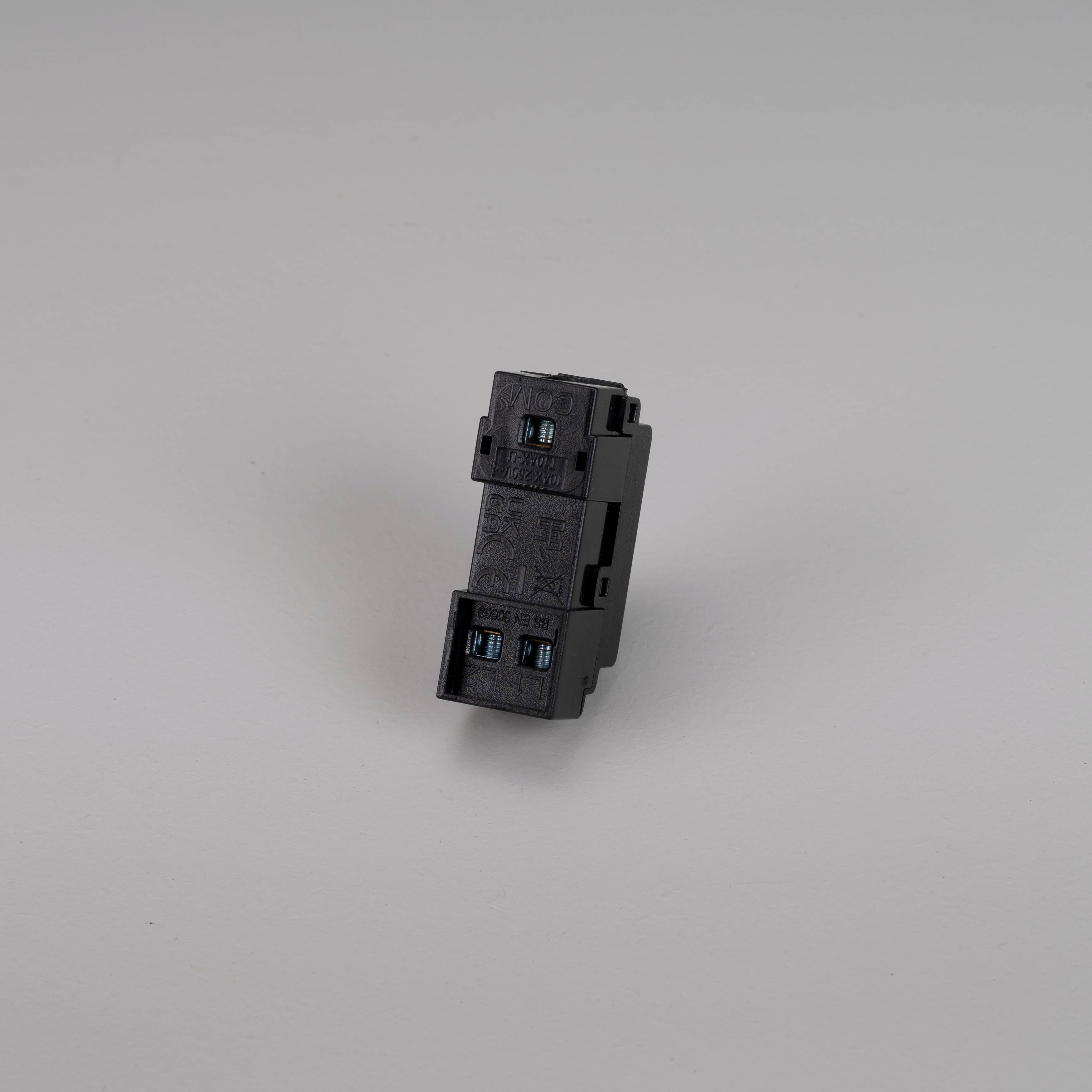 Buster + Punch 10A 2-Way Toggle Module